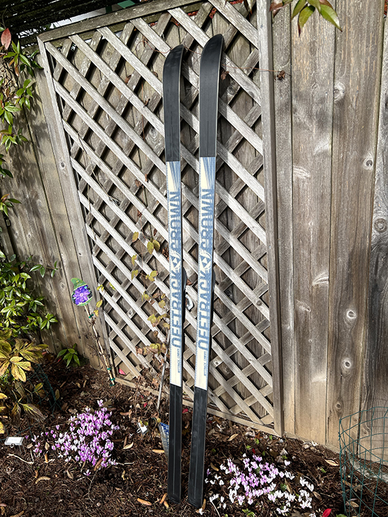 Fischer skis